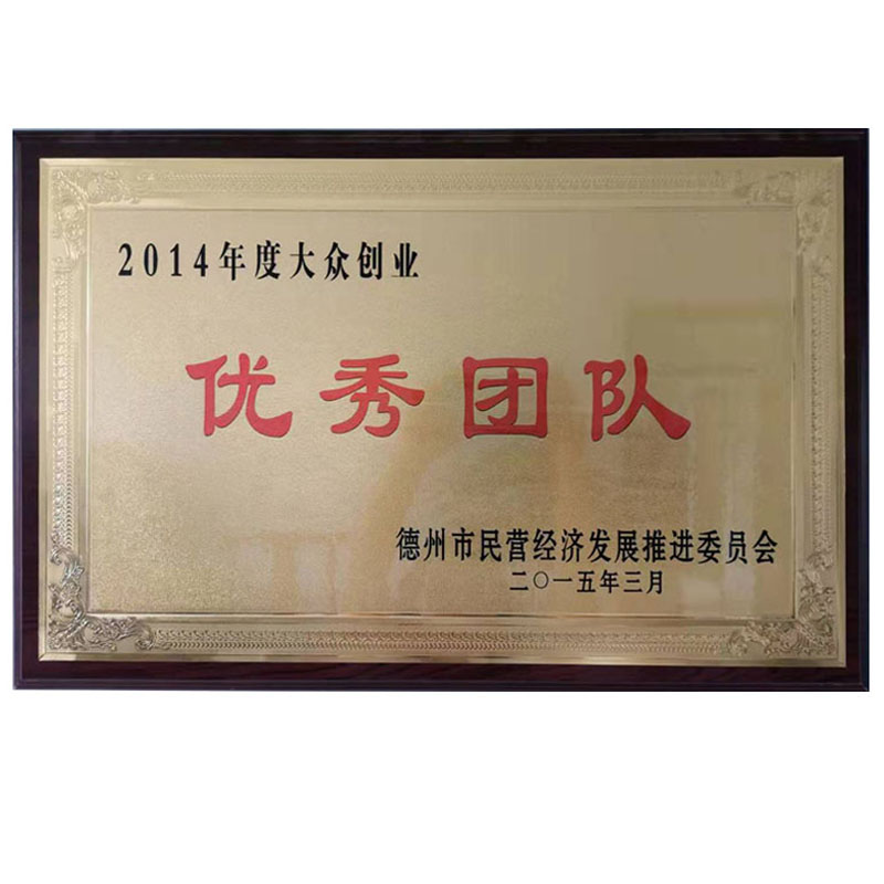 大眾創(chuàng)業(yè)優(yōu)秀團隊
